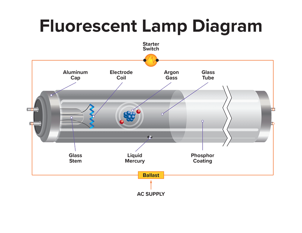 how does the fluorescent light bulb work