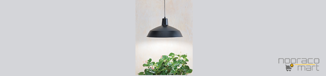 لامپ led برای رشد گیاه