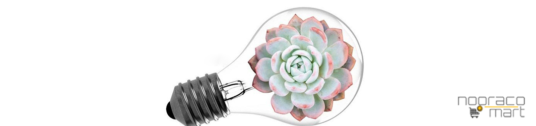 لامپ رشد گیاه متال یا سدیم در گلخانه ها